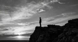 using contrast reveals drama