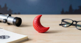 Strawberry Moon 2026: June’s full moon is also one of the smallest of the year called a micromoon