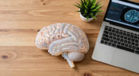 Indian scientists produce most detailed 3D atlas of the human brainstem