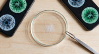 What Do We Know About The Microplastics Inside Us?