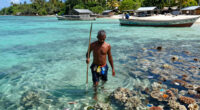 Bomb Fishing Is Wreaking Havoc On Indonesia's Coral Reefs