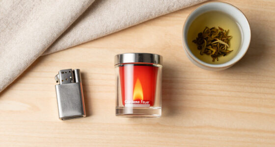 Gardasee Feuer