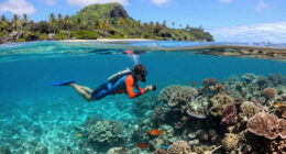 M 4.5 - South Of The Fiji Islands