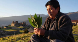 Mind-altering Drugs Played Key Role In Rise Of Andean Civilization