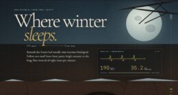 Hibernaculum — Where Winter Sleeps — Scroll-linked torpor (FABLE/175, room 169)