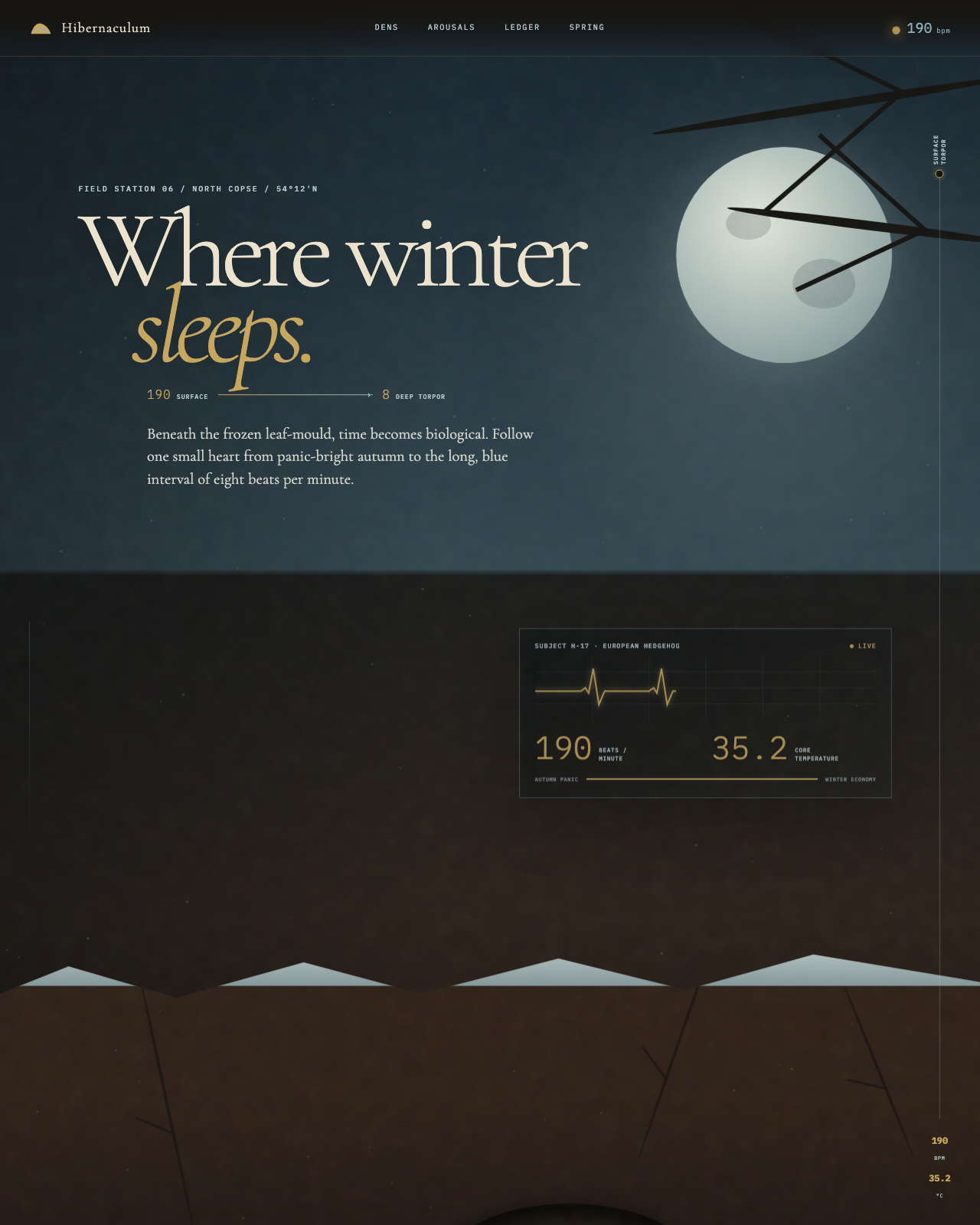Live view of Hibernaculum — Where Winter Sleeps